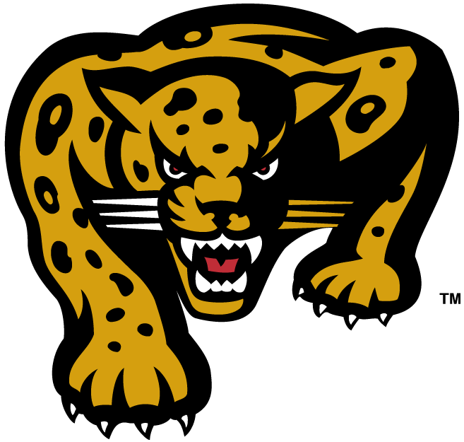 IUPUI Jaguars 2002-2007 Alternate Logo iron on transfers for clothing